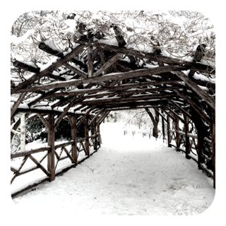 Central Park March 2015